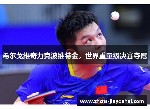 希尔戈维奇力克波维特金,世界重量级决赛夺冠 希尔戈维奇力克波维特金,世界重量级决赛夺冠